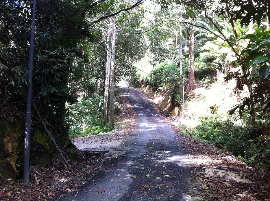 Bukit Cendana via Moongate Trail - Jeep Track