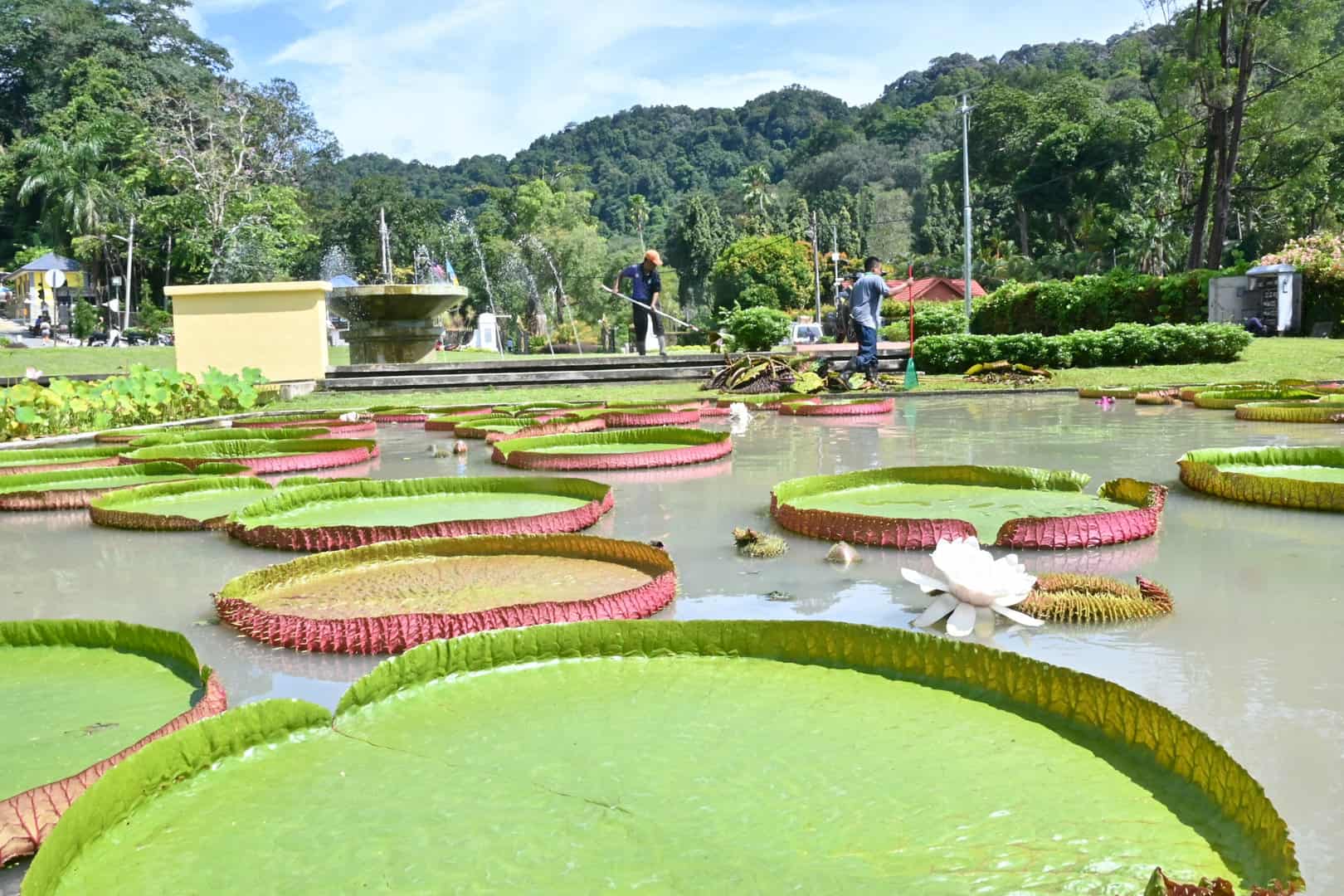 Penang Botanic Garden - Crag Hotel Loop